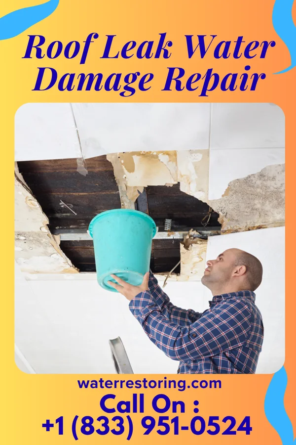 Roof Leak Water Damage Repair in Siletz, OR